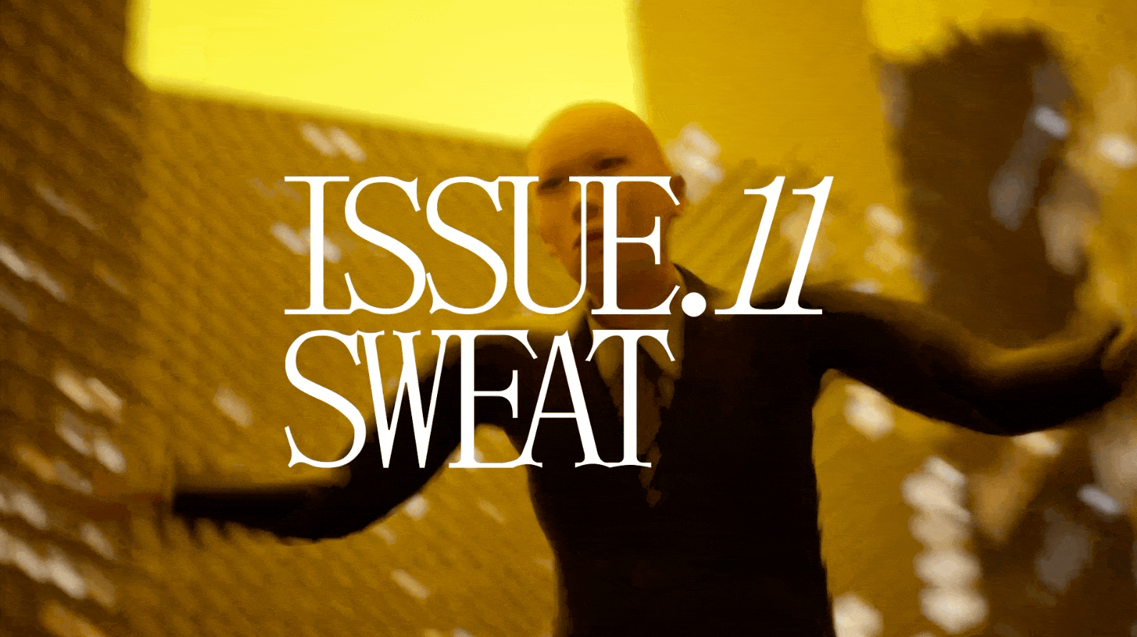 The cover for the issue was by Nie Lisha.